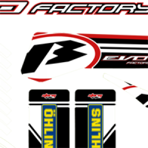 BETA EVO 2013 Juego Completo Decals