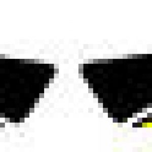 GAS GAS TXT PRO 2010/2011 Decals Basculante en amarillo.