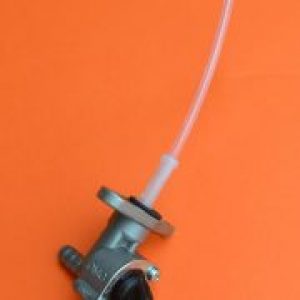 BETA TR 34/35 Grifo Gasolina