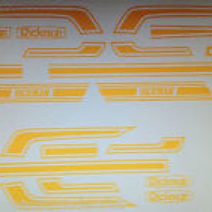 KAWASAKI RICKMAN RICKMAN KAWASAKI Z1900 Z1000 CR kit de decals completo