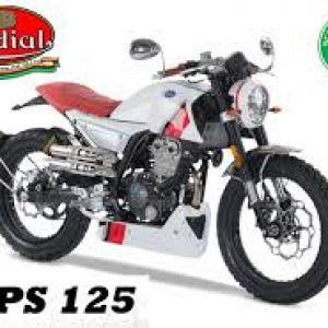 MONDIAL Escudo para Deposito