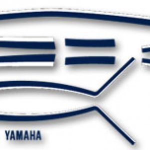 YAMAHA RZV500R Juego Completo de Decals