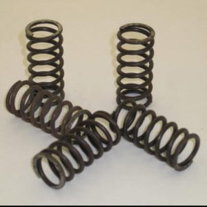 FANTIC mono air cooled Juego 5 Muelles Embrague