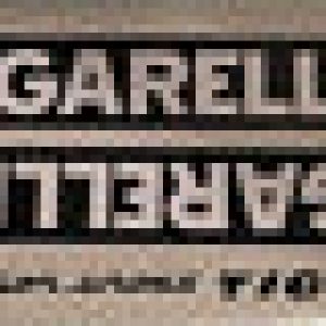 SUZUKI RMZ250 2004 2005 2006  Placa Frontal Portanumero Race Tech blanca