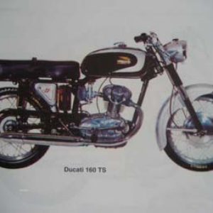 DUCATI 160 TS Pegatinas