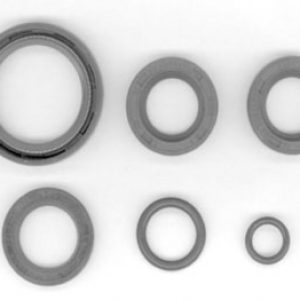 MOTO GUZZI  Juego de 6 retenes  y tóricas para motor modelo Dingo 49)