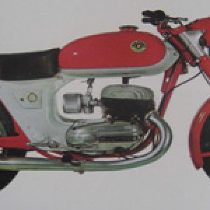 SENIOR 200 Kit Pegatinas