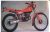 MONTESA COTA 242 (1984) Juego completo pegatinas