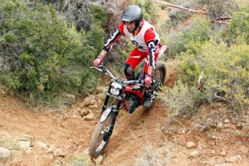 José-Luis-Martínez