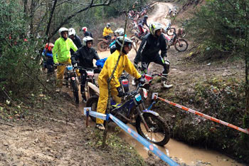 Trial-Ripoll-3