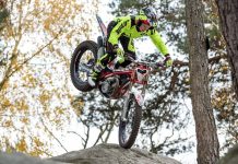 Descubre la nueva colección Jitsie Domino