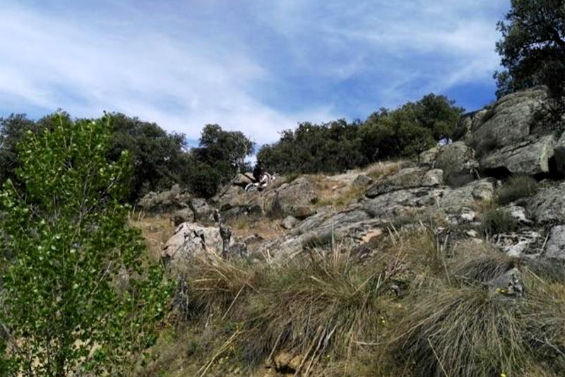 trial-lasr-2018-pre4