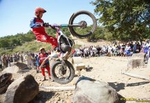 Fujinami vuelve al Campeonato de Japón y vence con la Honda eléctrica