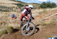 Mesones celebra su primera edición de dos días con un emotivo homenaje