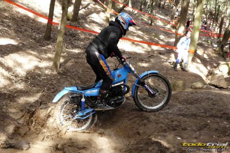 Imagen de la categoría Experts